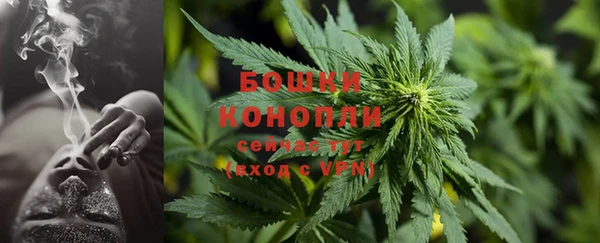 каннабис Инта