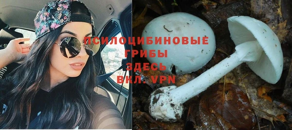 каннабис Зеленокумск