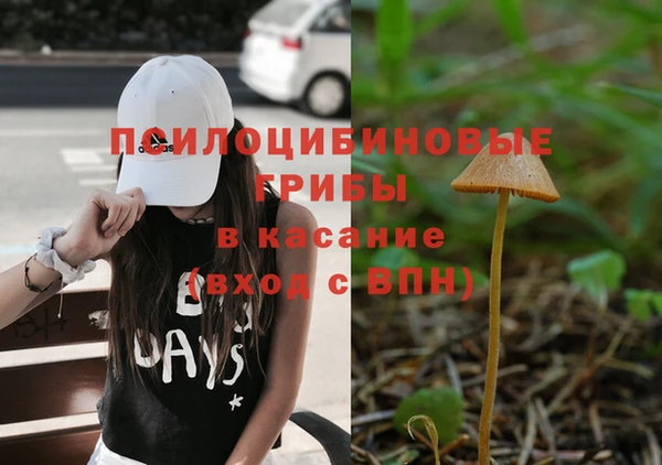 spice Зерноград