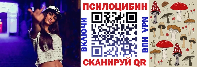 Купить закладки Плёс Галлюциногенные грибы Cubensis